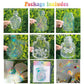 ✨35 % Rabatt ✨PVC animal colorful anti-collision glass sticker, 6 pcs Regular price